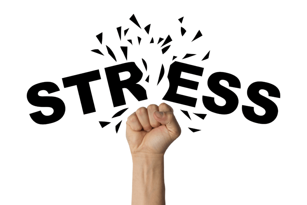 gestionar el estress