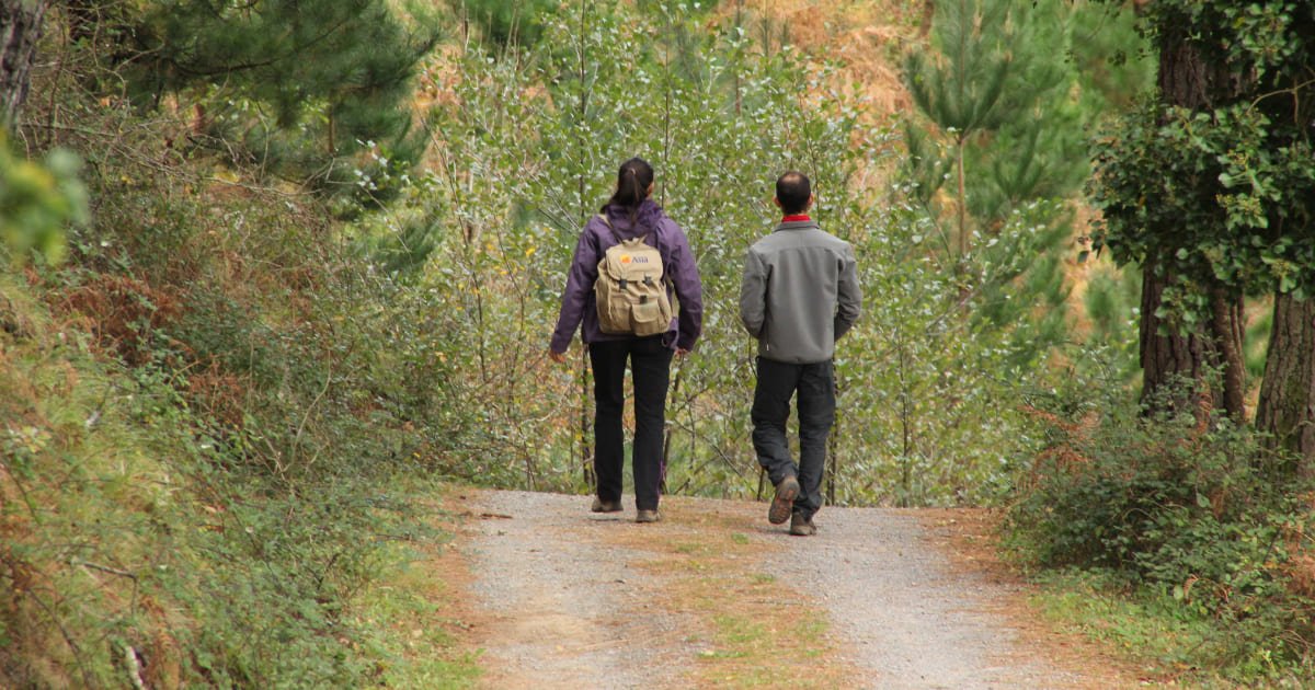 beneficios de pasear y caminar